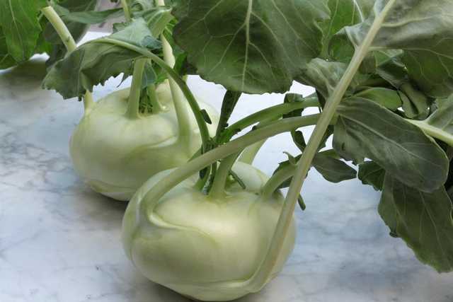 Kohlrabi